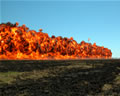Wall of Fire: Image